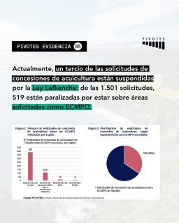 Por otra parte, si bien la ley define plazos para que la tramitación de una solicitud no supere los 12 meses, en los hechos es letra muerta.